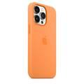 Apple Silicone Case with MagSafe Compatible for iPhone 13 Pro (6.1") – Marigold