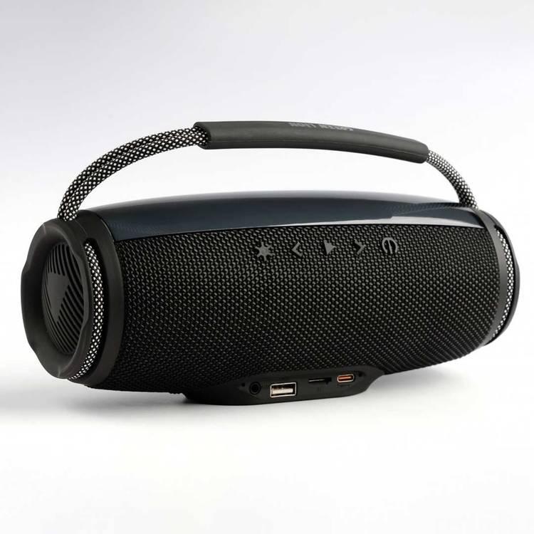 Green Lion Palma Portable Speaker - Blue