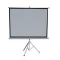 Green Lion 72" Portable Projection Screen With Tripod Stand - White