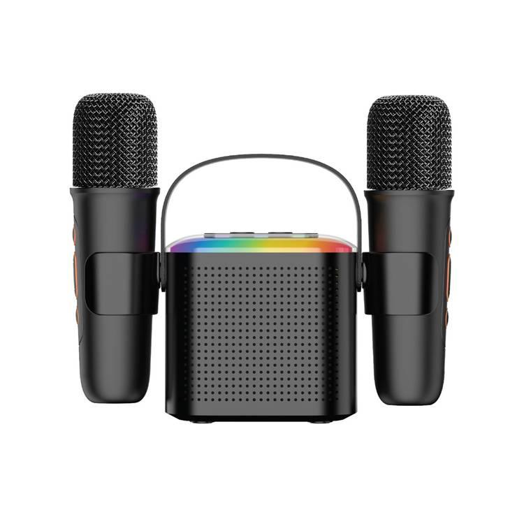 Green Lion 2 in 1 Karaoke Speaker - Black