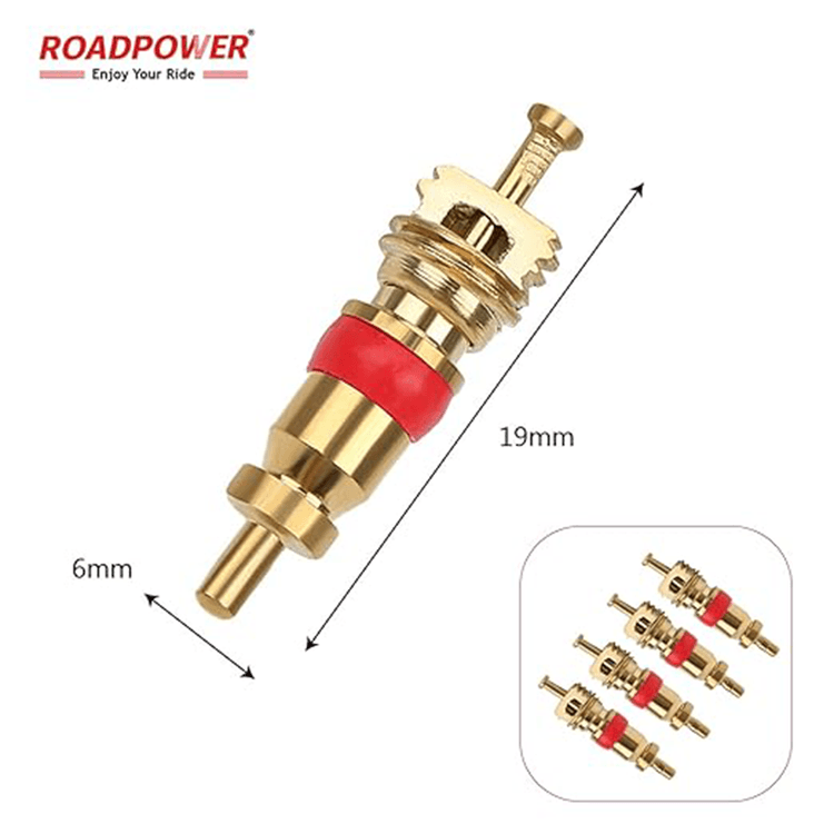 RoadPower Digital Tire Pressure Gauge, 200 PSI, 4 Settings for Car-Truck-Motorcycle-Bicycle, Backlit LCD, Non-Slip Grip