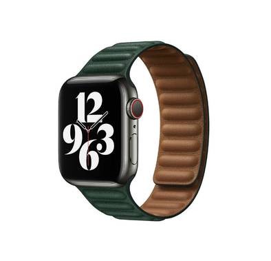 Green Lion Leather Link Watch Strap For Apple Watch 42/44/45/49MM - Green