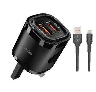 Green Lion Dual USB Mini Wall Charger - Black