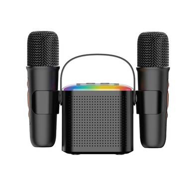 Green Lion 2 in 1 Karaoke Speaker - Black