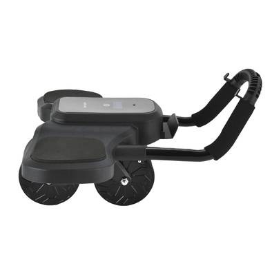 Green Lion ABS Exercise Roller with Digital Display - Black